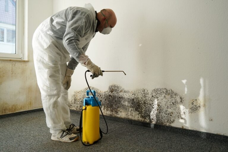 How to Choose a Reliable Water Damage Restoration Company Near You
